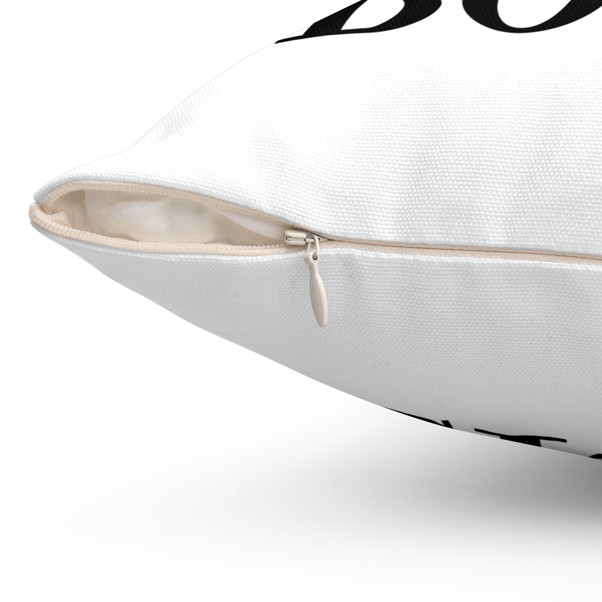 Boise Bicycle Pillow