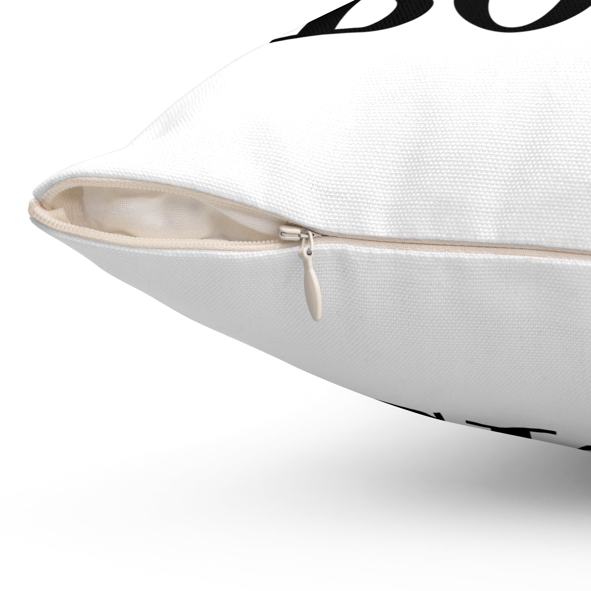 Boise Bicycle Pillow