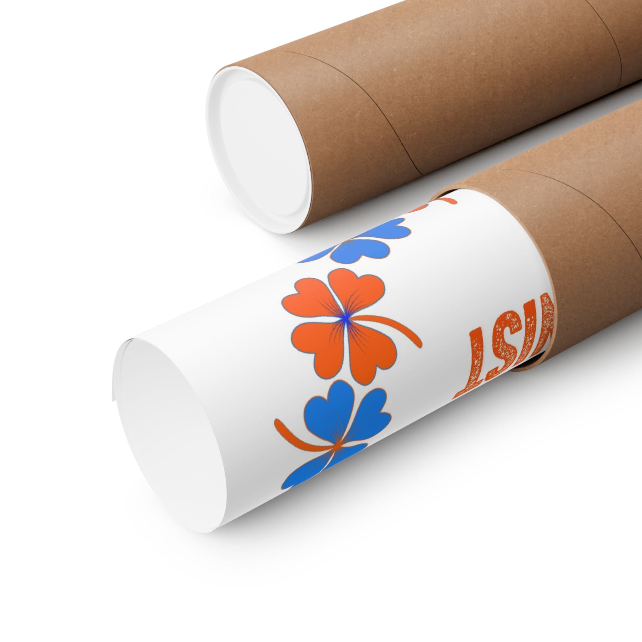 Boise Feminist Poster