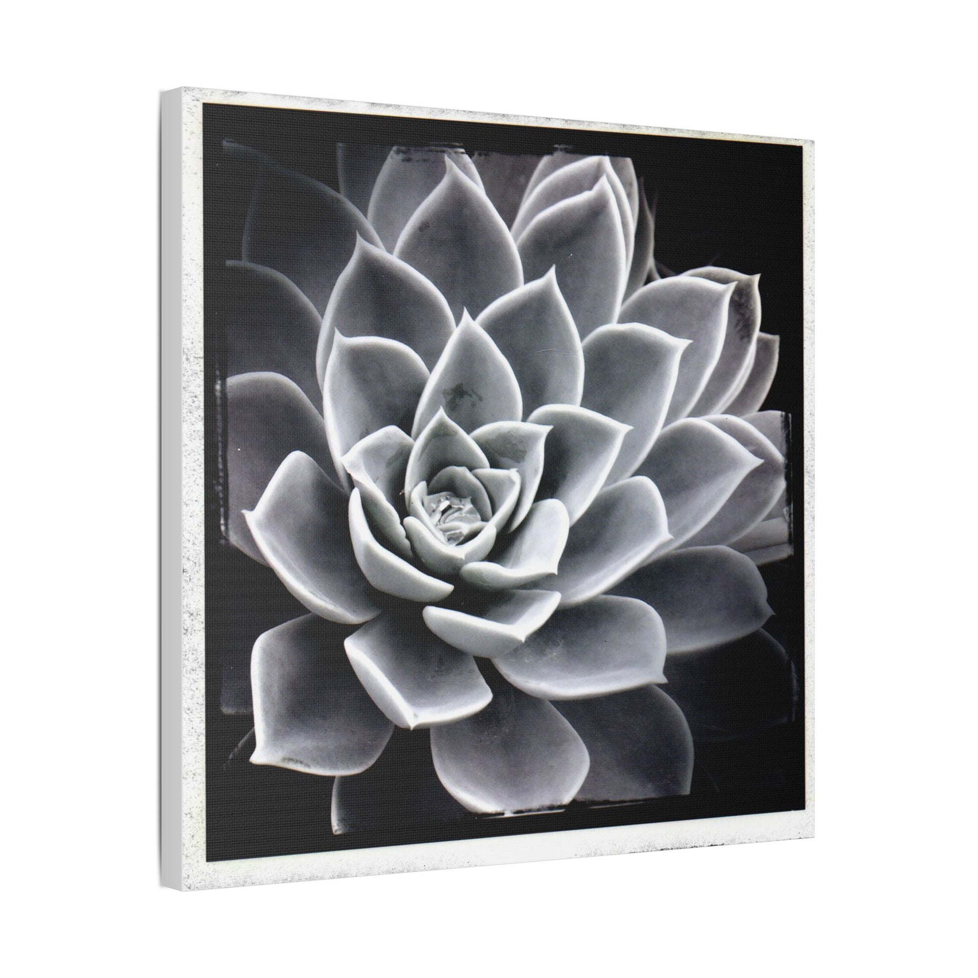 Succa Satin Canvas, Stretched