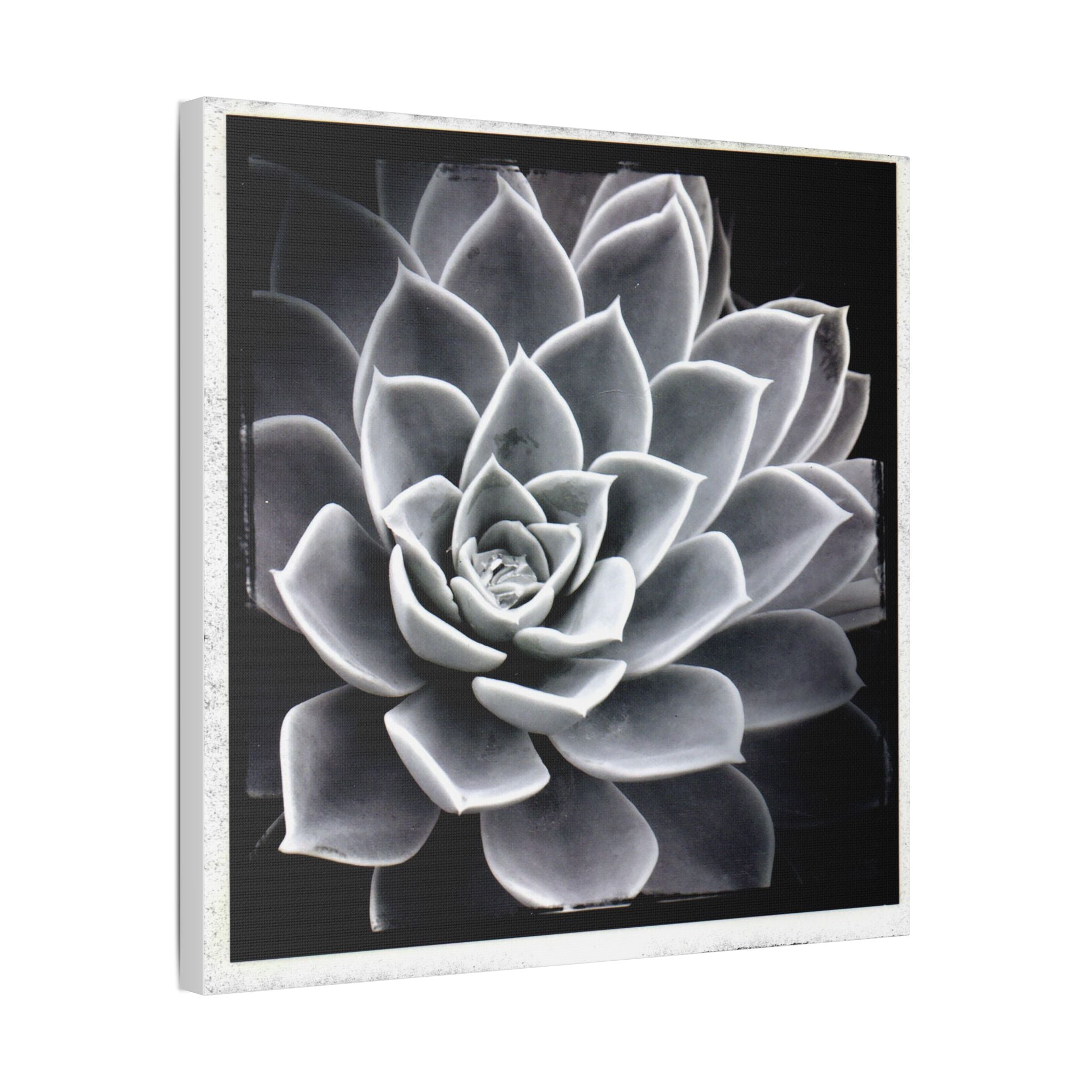 Succa Satin Canvas, Stretched