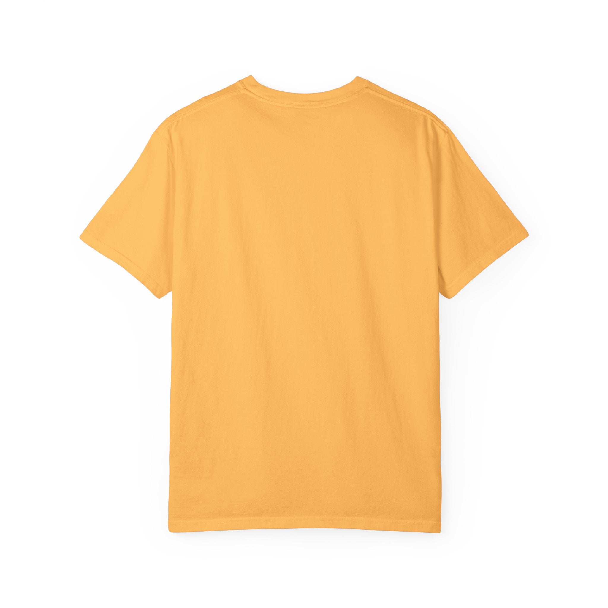 Boise Bicycle T-Shirt, Casual Bike Apparel, Gift for Cycling Enthusiasts, Comfortable Summer Tee, Unisex Graphic T-Shirt