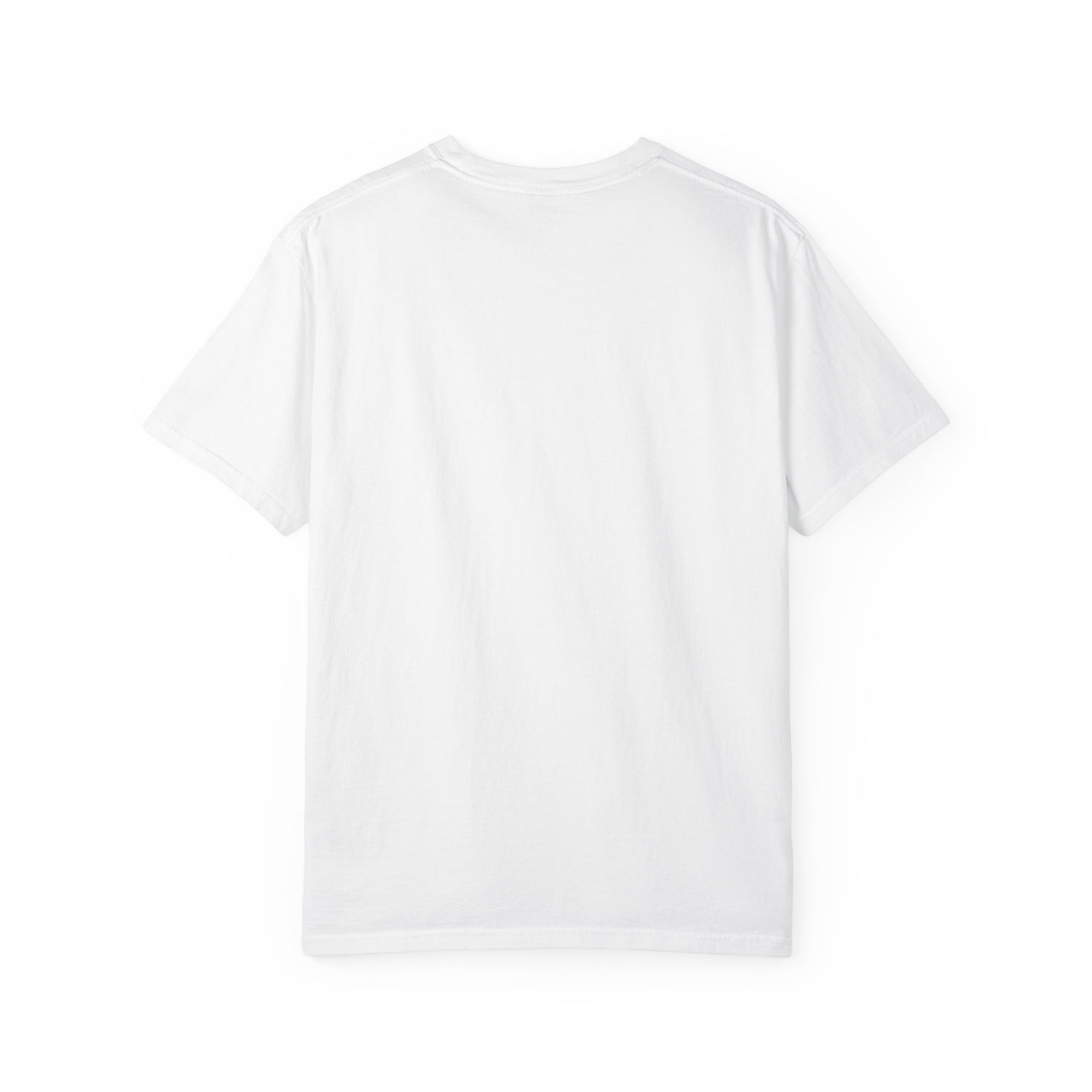 Boise Bicycle T-Shirt, Casual Bike Apparel, Gift for Cycling Enthusiasts, Comfortable Summer Tee, Unisex Graphic T-Shirt