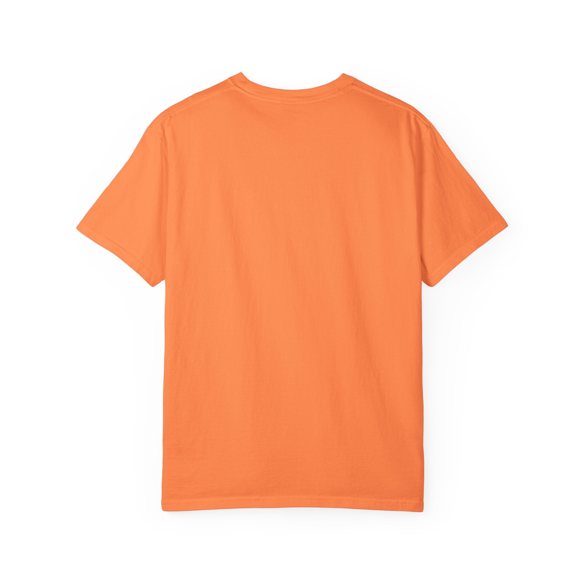 Boise Bicycle T-Shirt, Casual Bike Apparel, Gift for Cycling Enthusiasts, Comfortable Summer Tee, Unisex Graphic T-Shirt