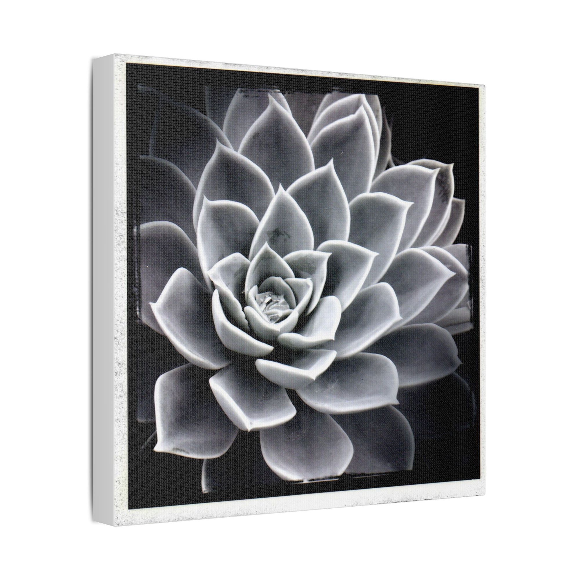 Succa Satin Canvas, Stretched