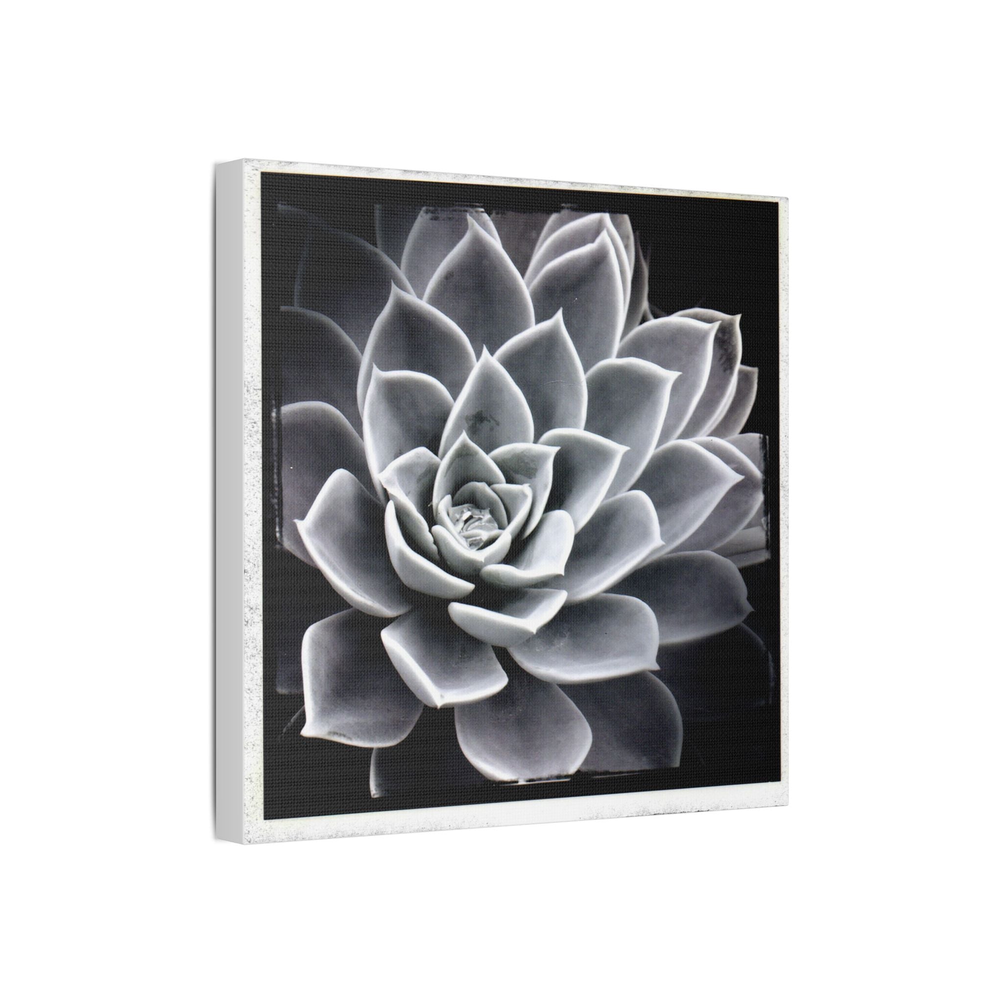 Succa Satin Canvas, Stretched