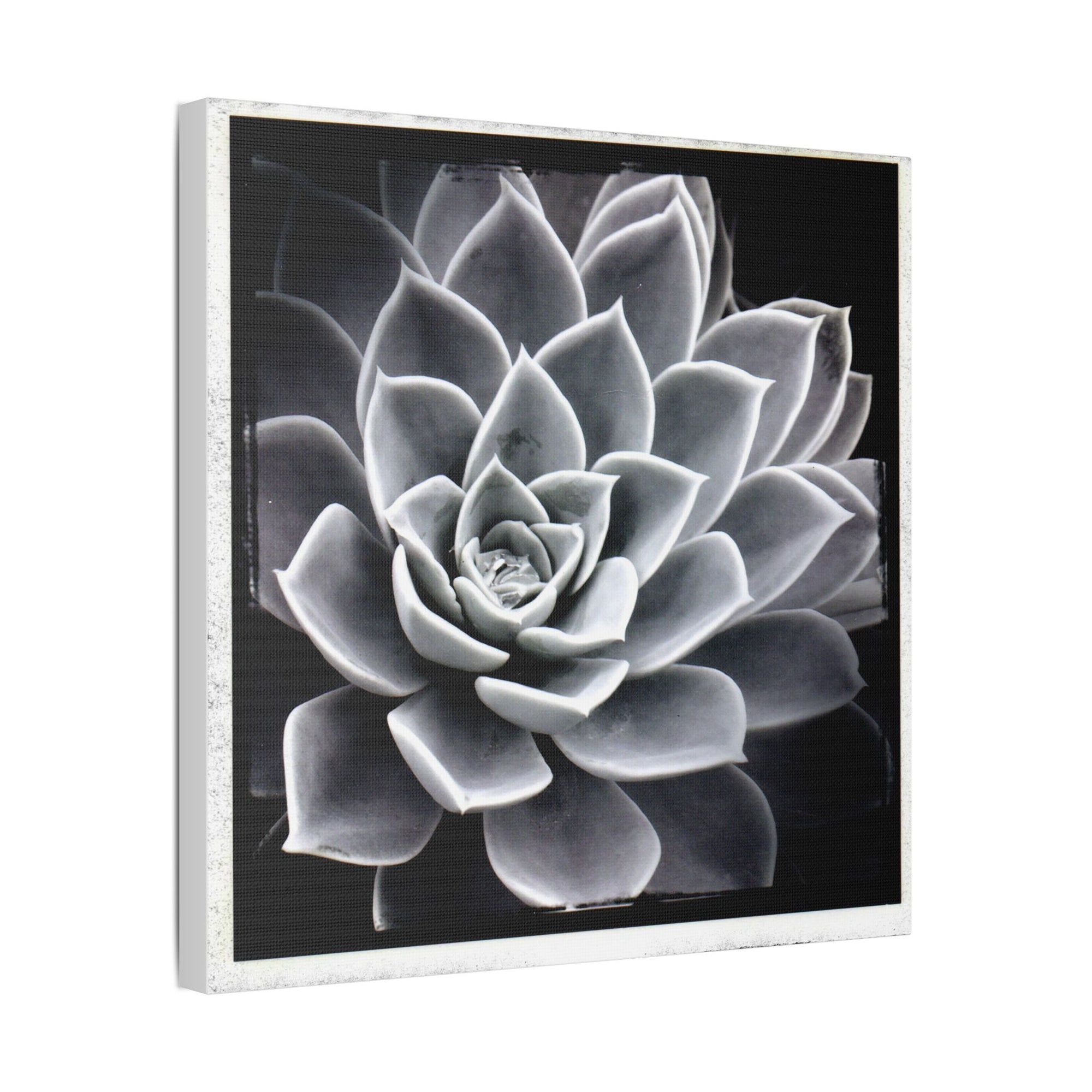 Succa Satin Canvas, Stretched