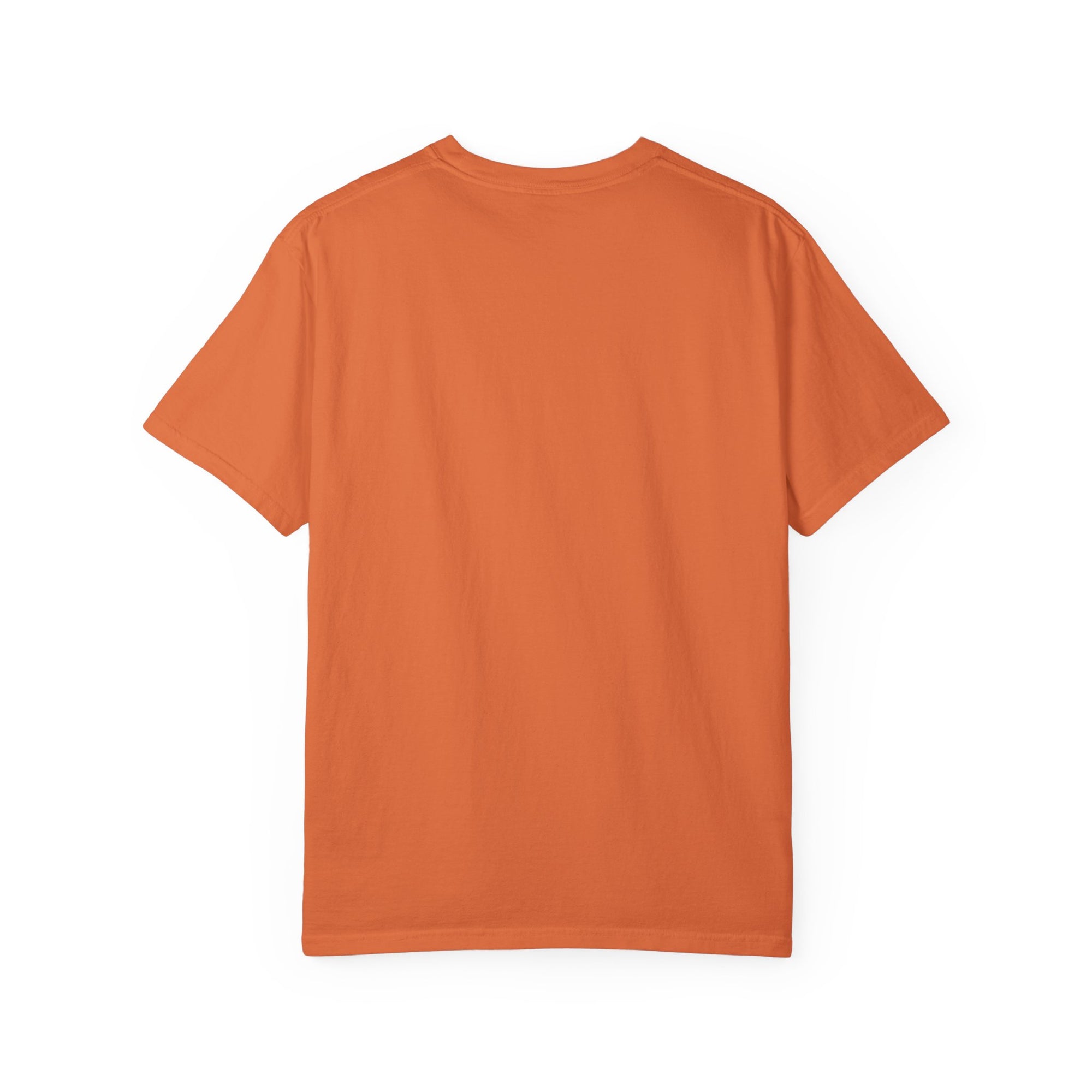 Boise Bicycle T-Shirt, Casual Bike Apparel, Gift for Cycling Enthusiasts, Comfortable Summer Tee, Unisex Graphic T-Shirt