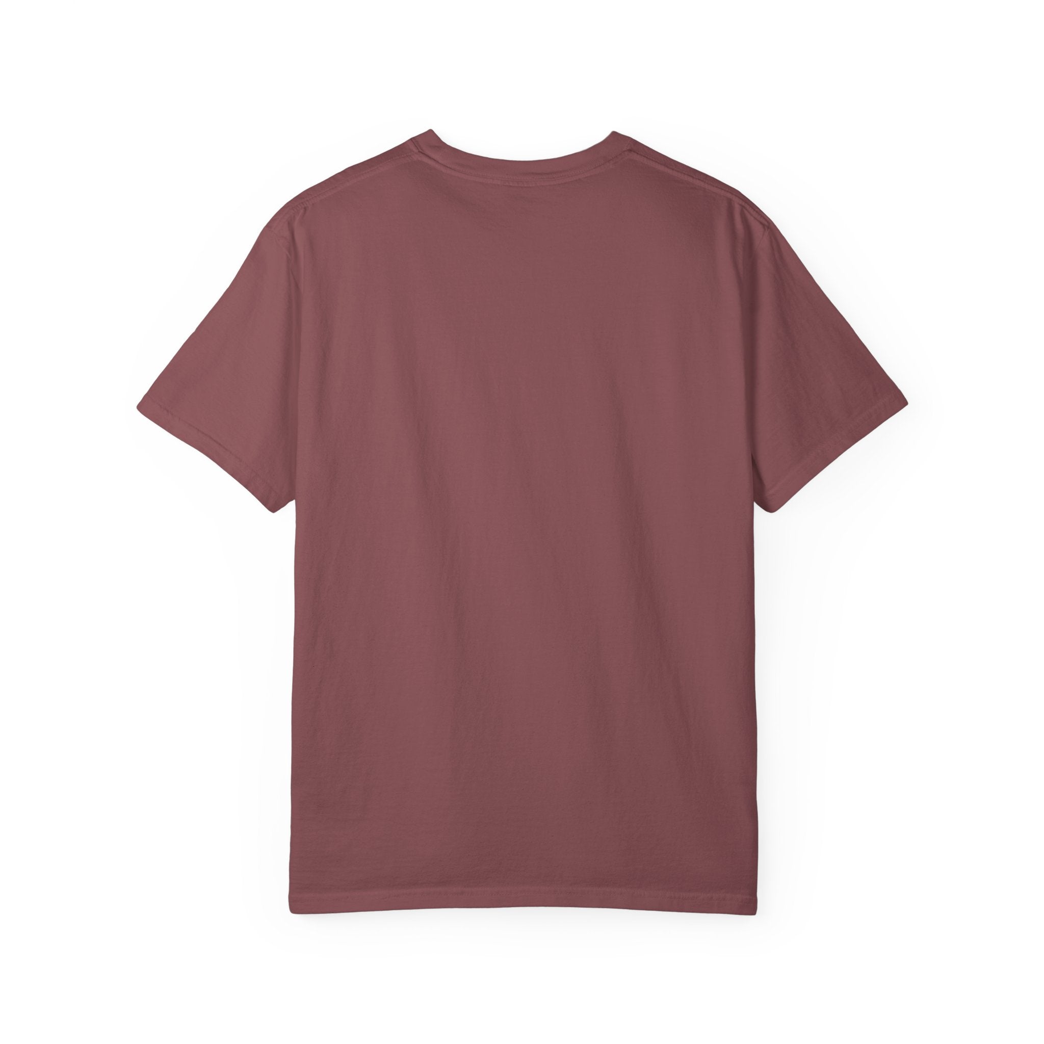 Boise Bicycle T-Shirt, Casual Bike Apparel, Gift for Cycling Enthusiasts, Comfortable Summer Tee, Unisex Graphic T-Shirt
