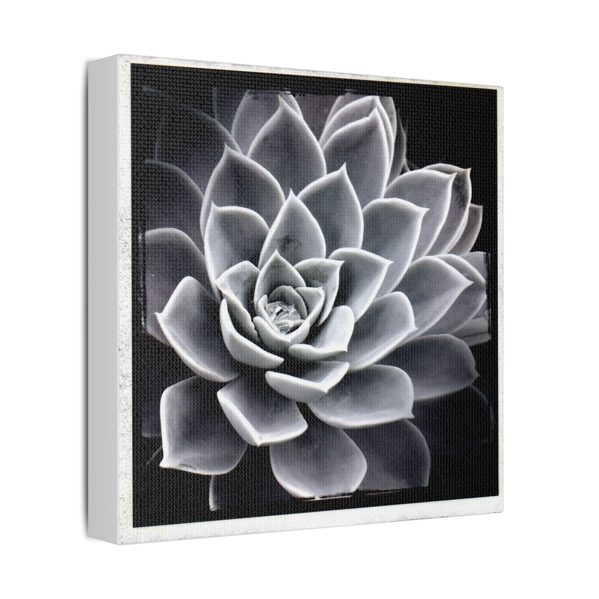 Succa Satin Canvas, Stretched