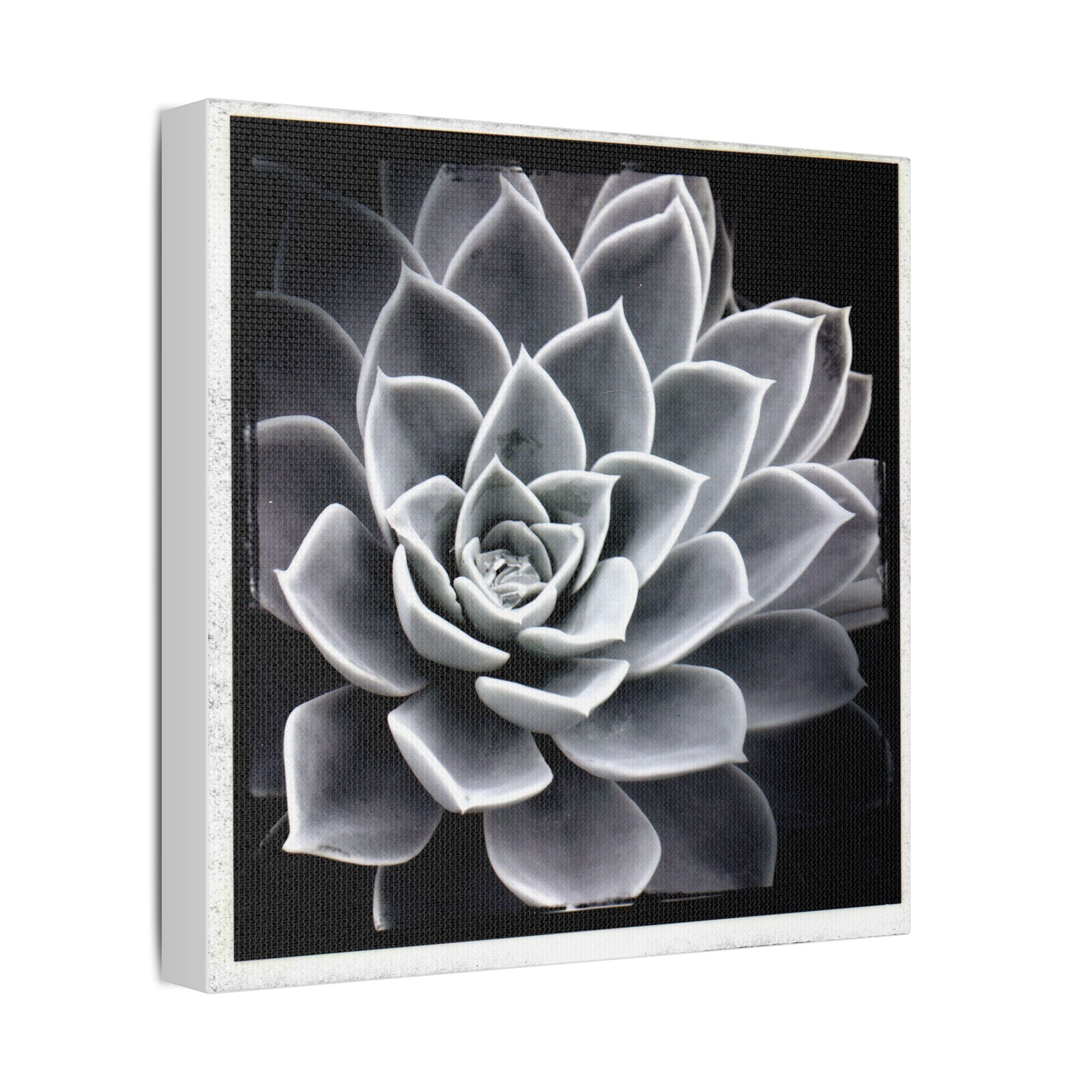 Succa Satin Canvas, Stretched