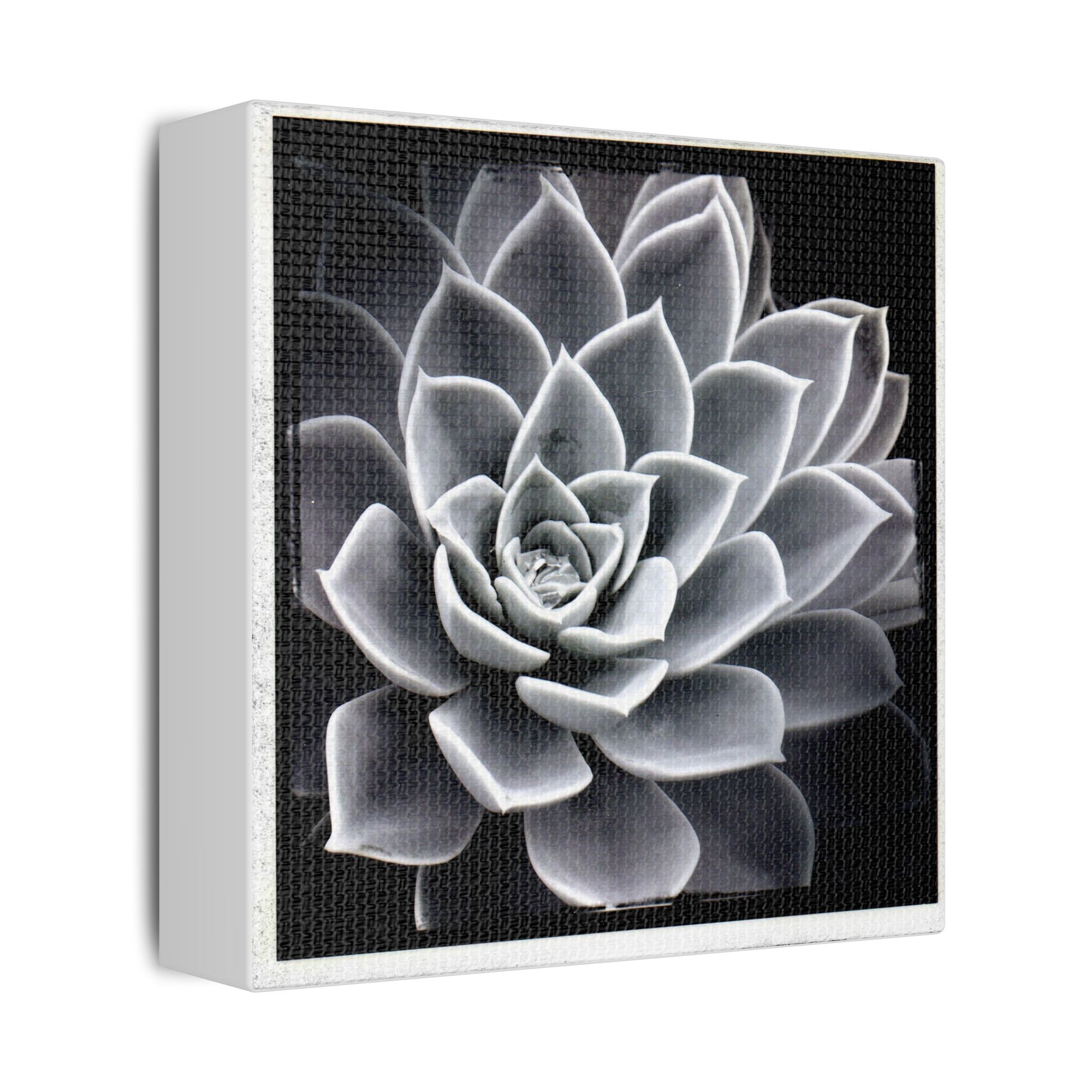 Succa Satin Canvas, Stretched