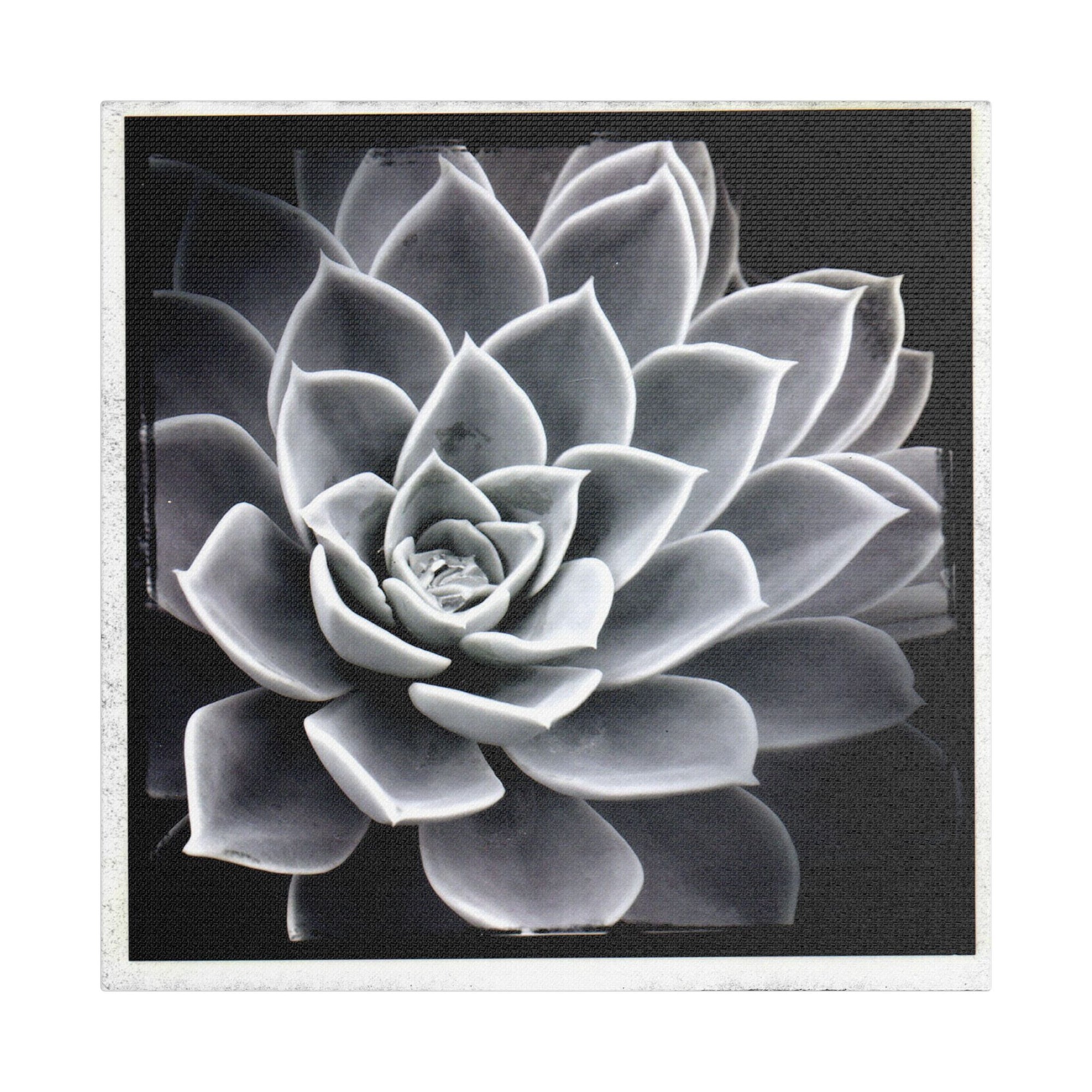 Succa Satin Canvas, Stretched