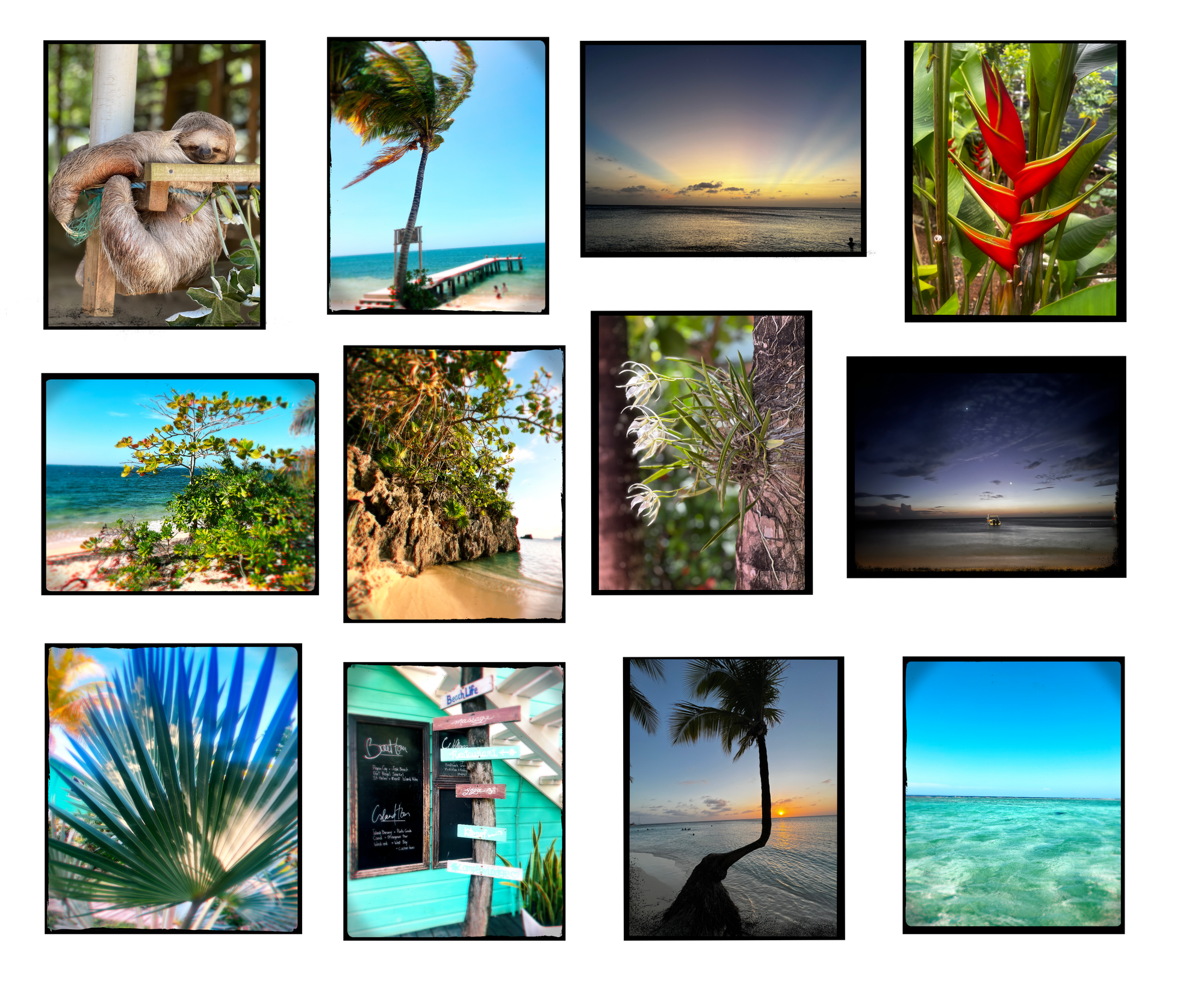 Roatan, Honduras Sloth Calendar, Beach Vibes 2027 Calendar