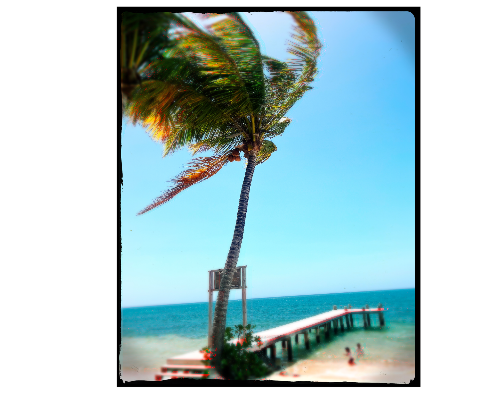 Roatan, Honduras Sloth Calendar, Beach Vibes 2027 Calendar