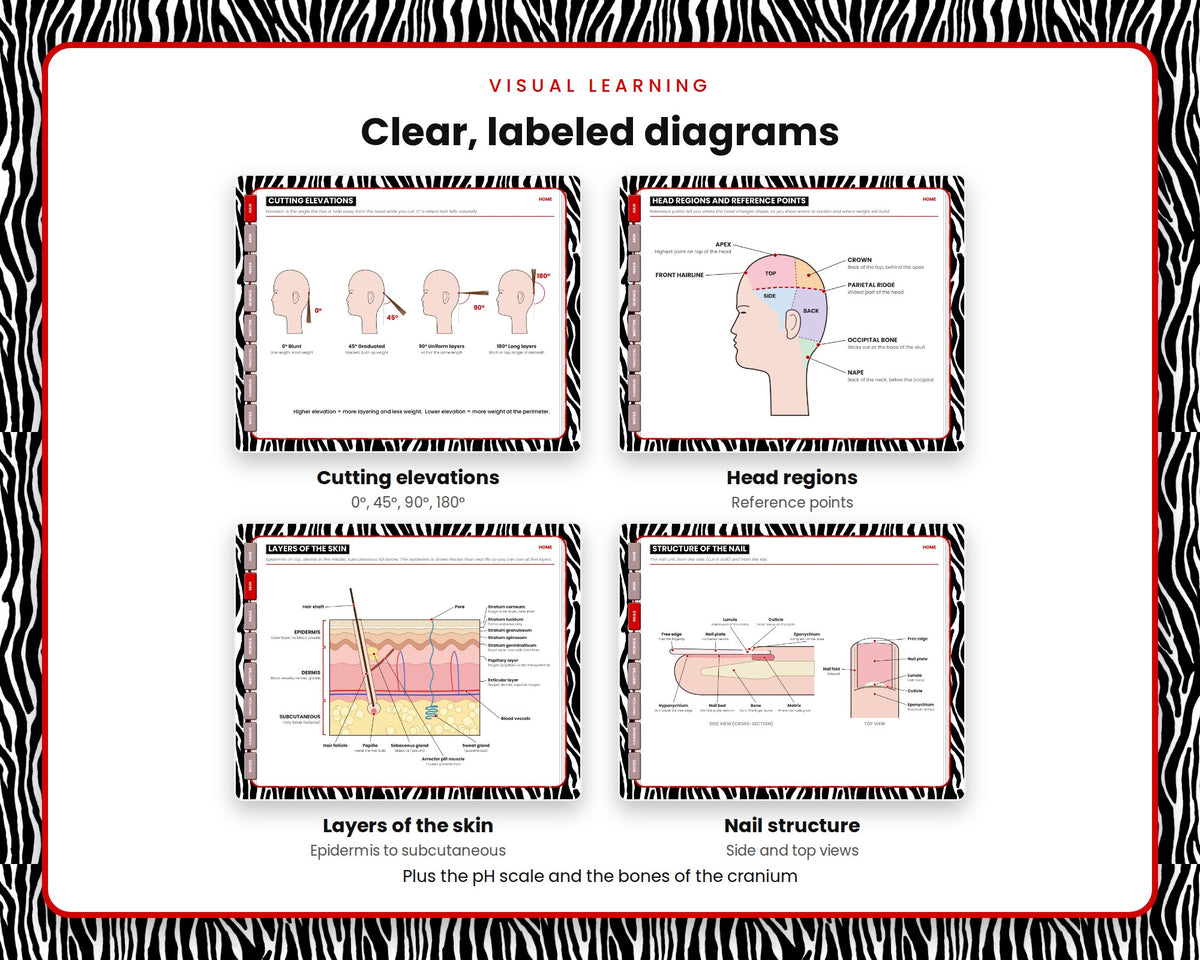 Cosmetology State Board Study Notebook – Zebra